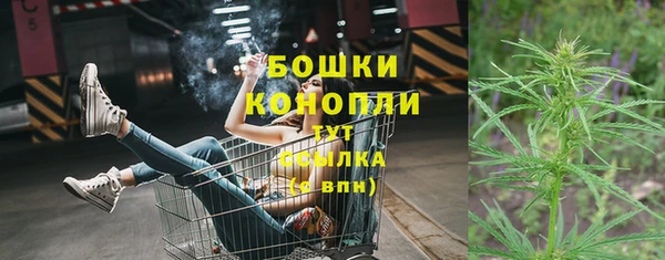 дмт Новодвинск